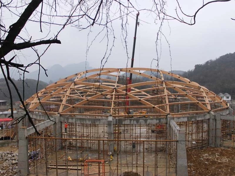 Bijie Dome, in Guiyang, China | Western Wood Structures