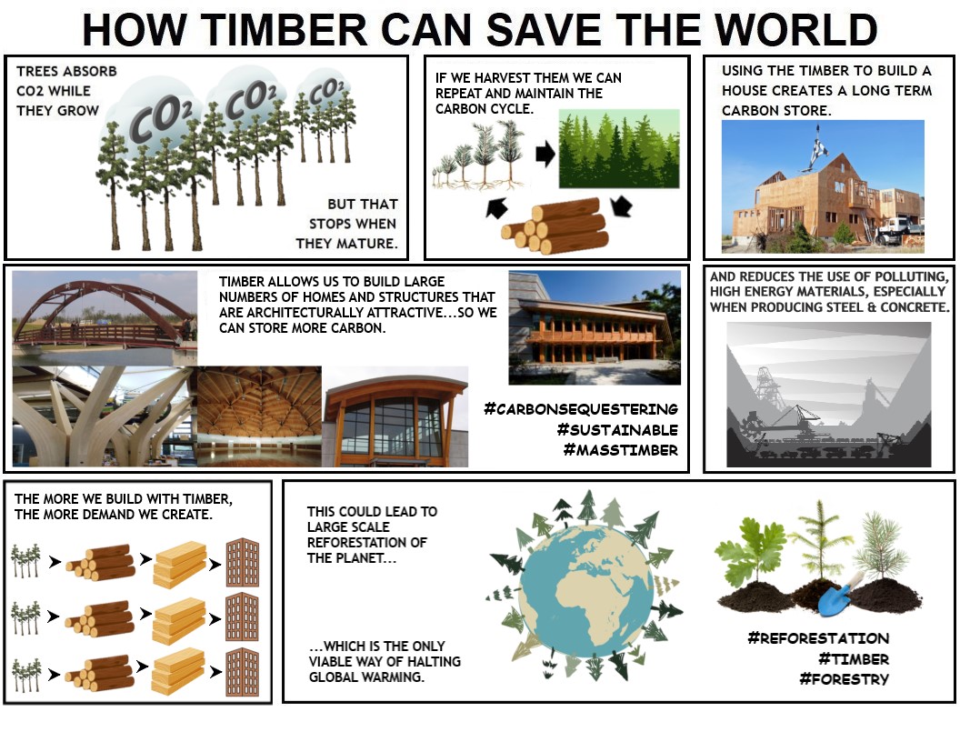 How Timber Can Save the World infographic